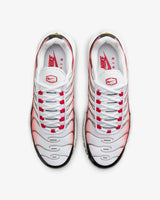 Nike Air Max Plus